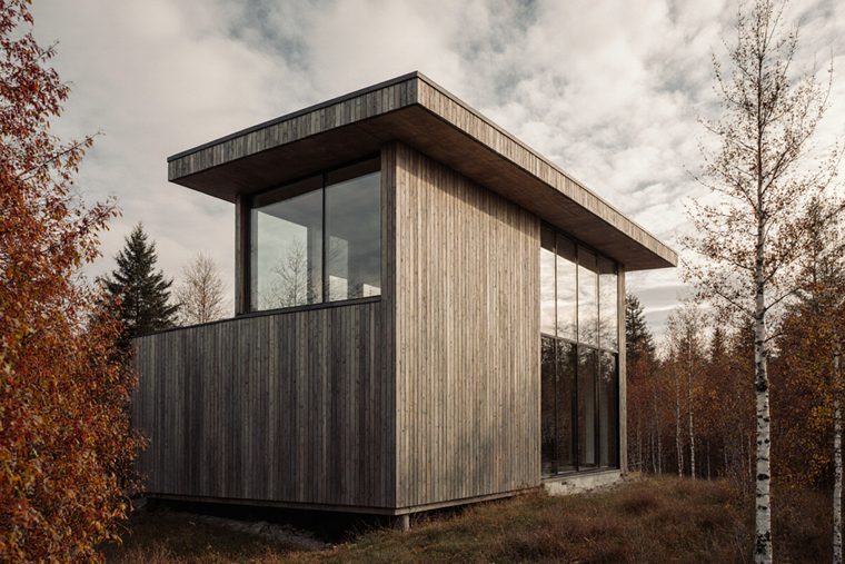 A small detached timber studio with a single-pitch roof and a corner window, standing among birches