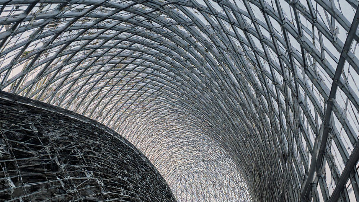 Looking up the inside of a curved glass-and-steel roof, the diagonal lattice receding into daylight