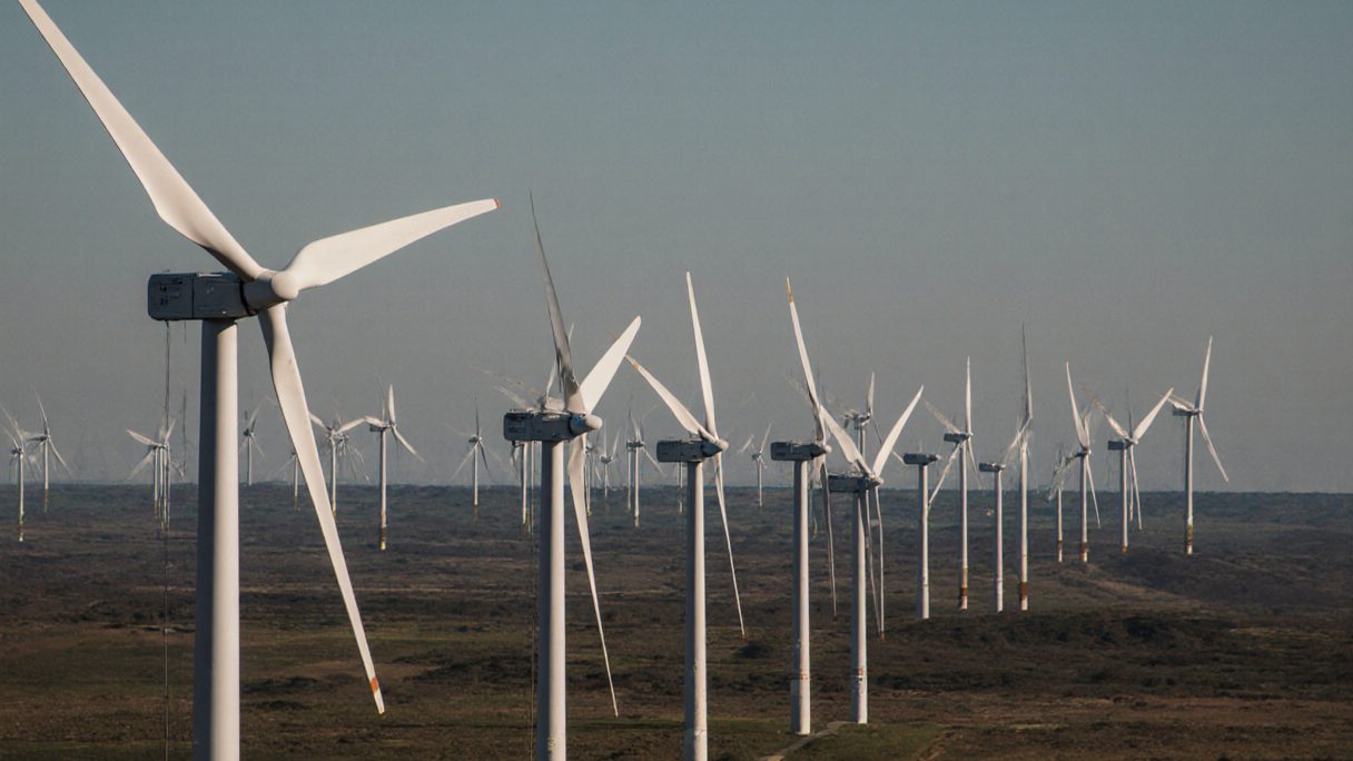 A line of wind turbines receding across open hill country under a pale sky